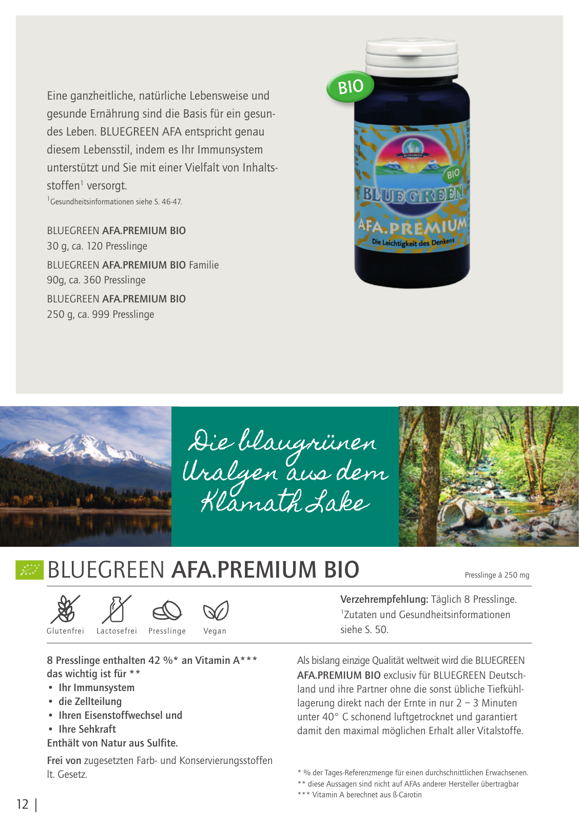 Vorschau Bluegreeen Katalog 2020 Seite 12