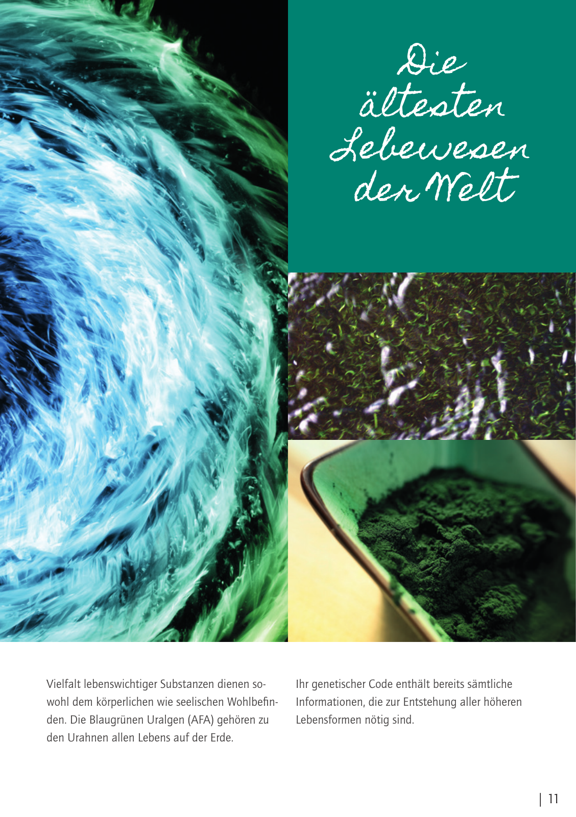Vorschau Bluegreeen Katalog 2020 Seite 11