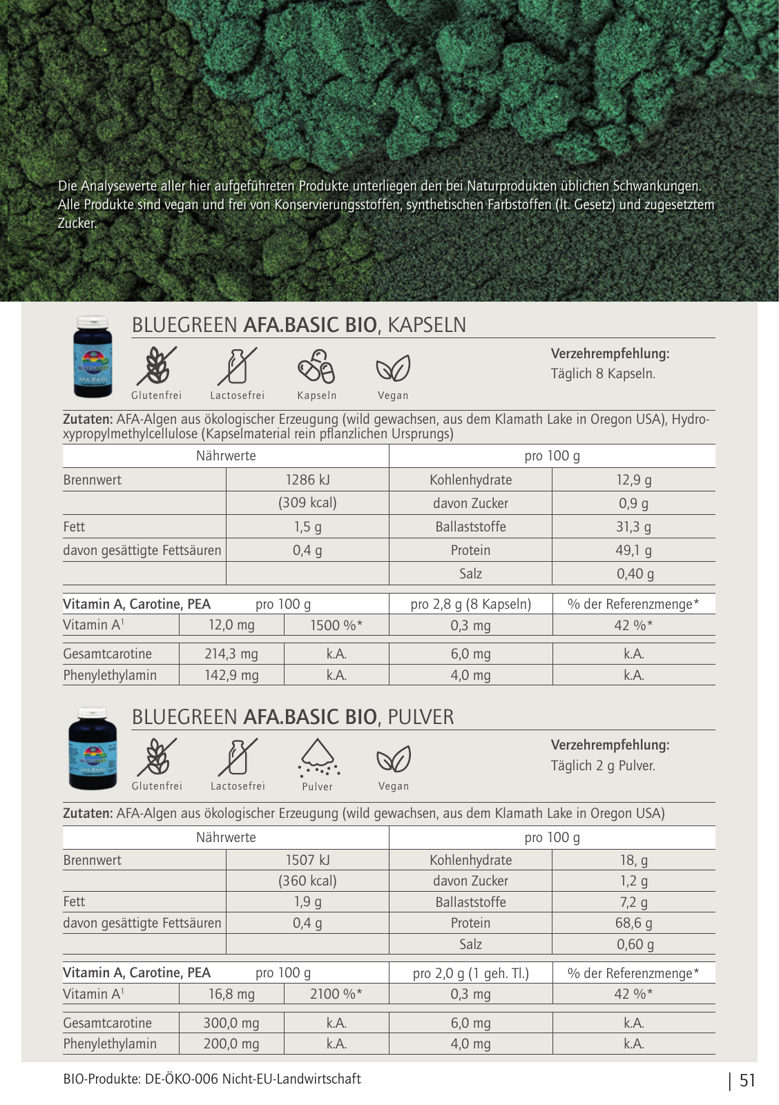 Vorschau Bluegreeen Katalog 2020 Seite 51